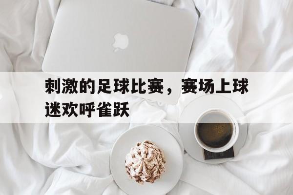 刺激的足球比赛，赛场上球迷欢呼雀跃